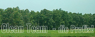 Clean Team - Die Profis